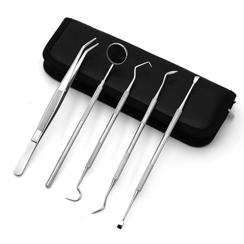 Stainless steel dentist tool set with dental mirror and black case.v