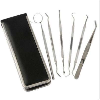 Stainless steel dentist tool set with dental mirror and black case.
